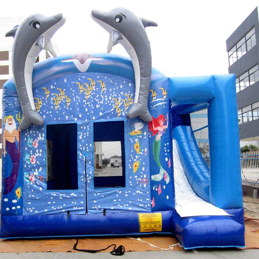 Inflatable Combo